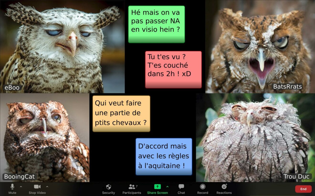 Boom des loosers du Nouvel an