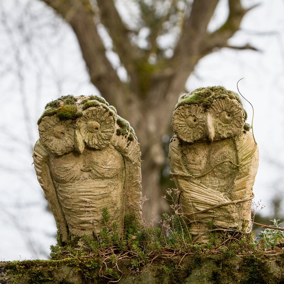 Le marché de création/production locale