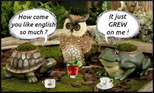 Just croaking : papoter en anglais