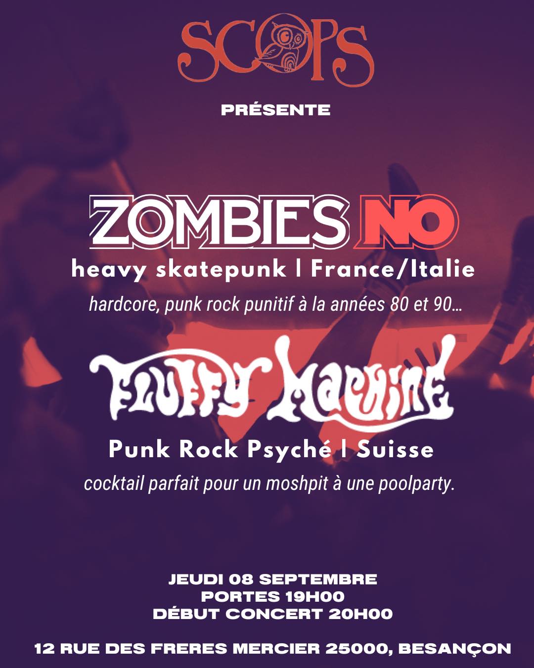 Concerts punk-rock // Zombies No // Fluffy Machine