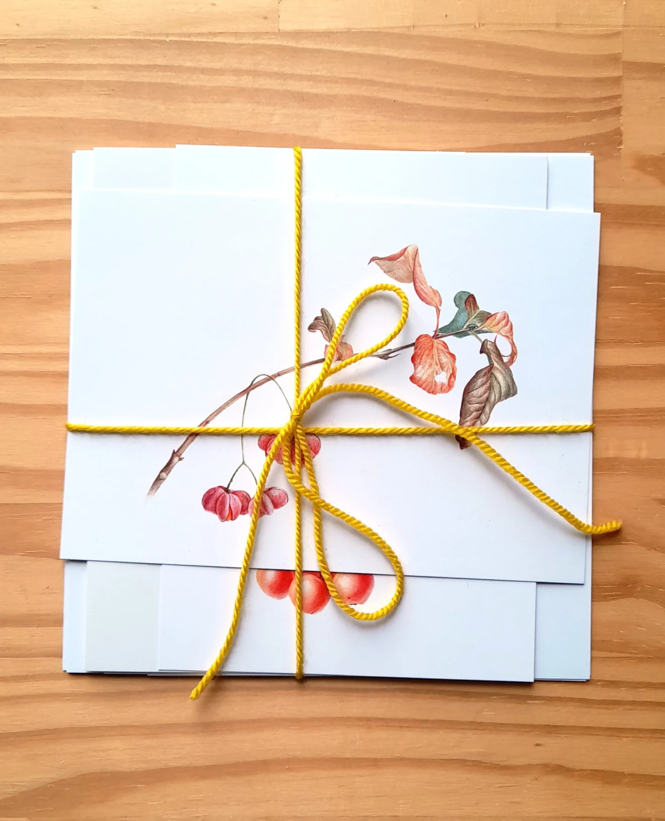 Création de carte de vœux