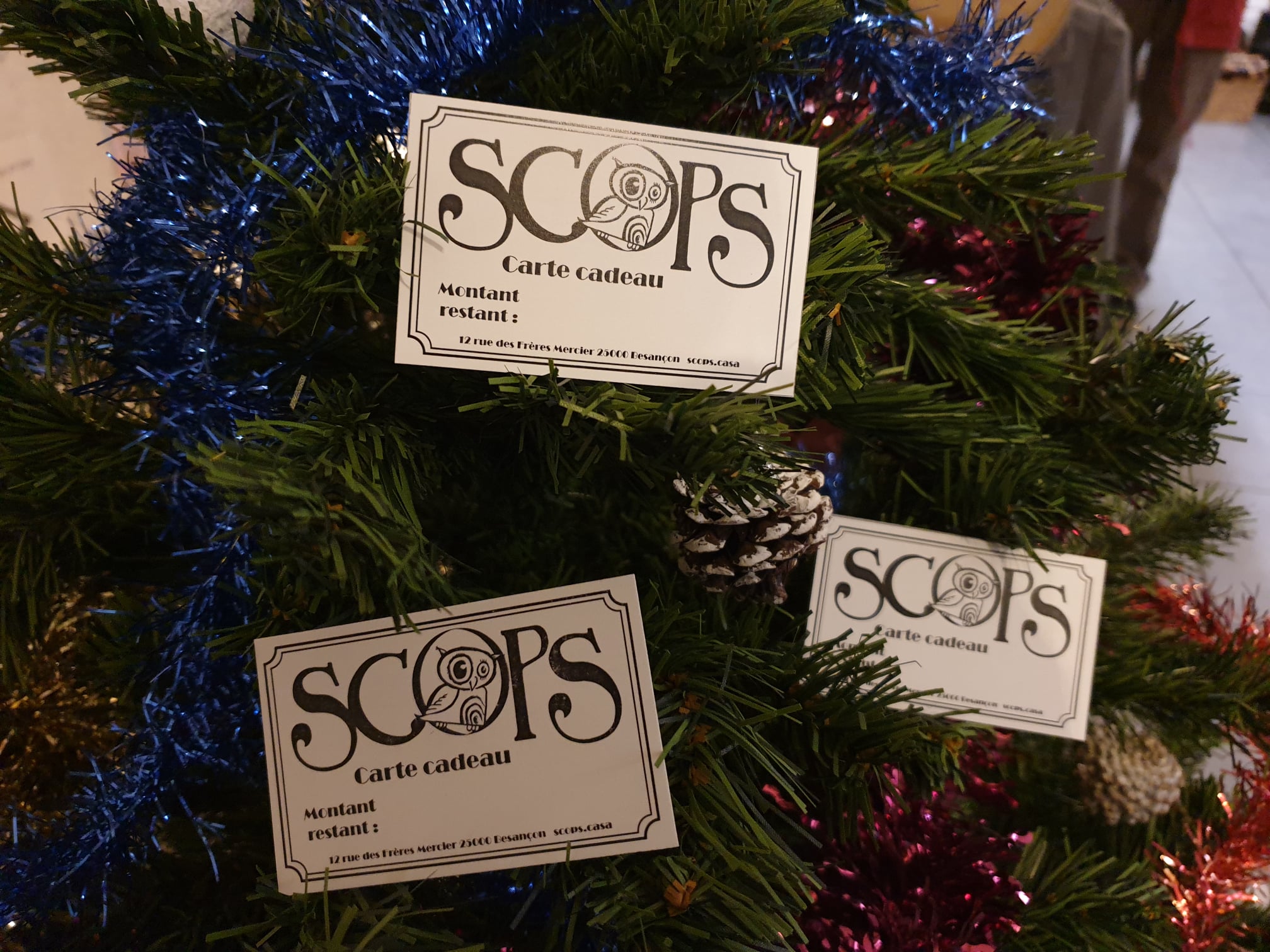 267816873_879116989443968_6776512256824591197_n